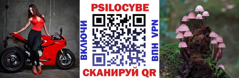 Псилоцибиновые грибы мицелий  наркота  Артём 